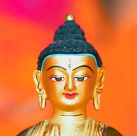 Osho-Rebalancing - Session 1