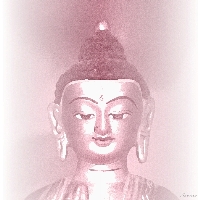 Antik-Buddha_viola-1