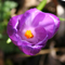 Osho Rebalancing  - Session 3